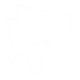 fish-icon.png fish-icon.png